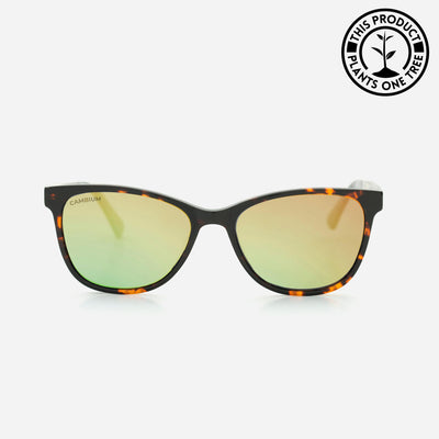 Hana | Gold Chrome | Tortoishell frame