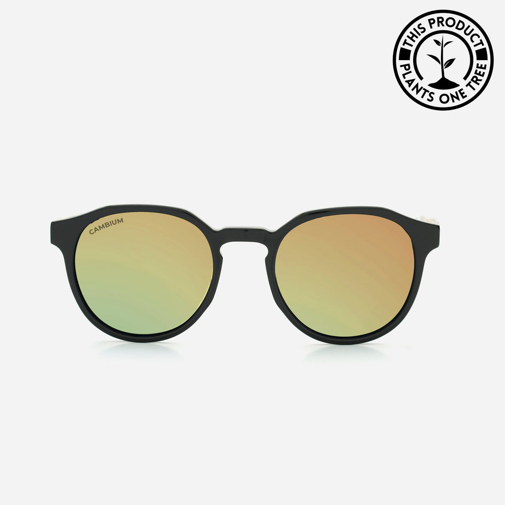 Kawela | Gold Chrome | Black Frame