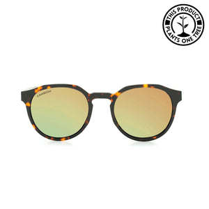 Kawela | Gold Chrome | Tortoishell Frame