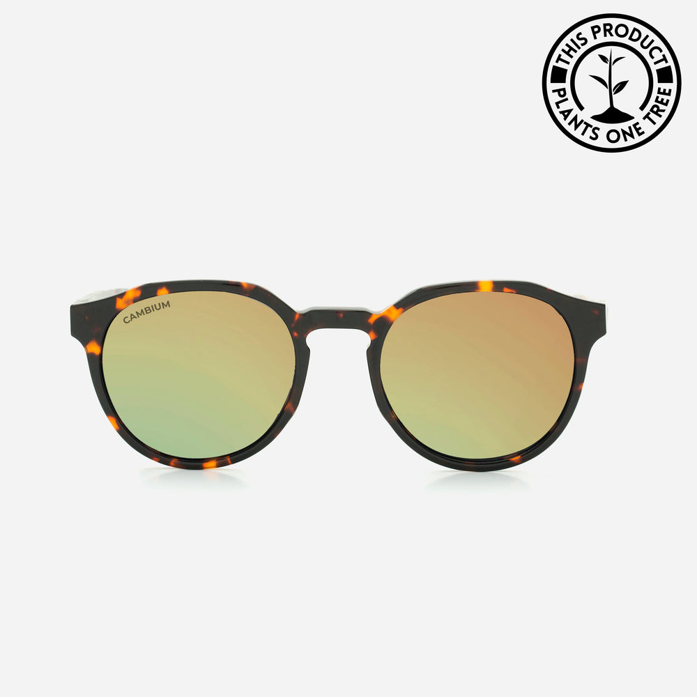 Kawela | Gold Chrome | Tortoishell Frame