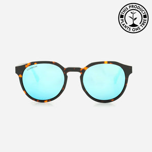 Kawela | Ice Blue | Tortoishell Frame
