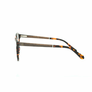 Kawela | Ice Blue | Tortoishell Frame