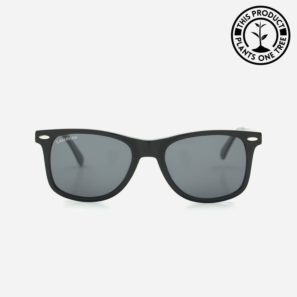 Ray ban 82231 uv400 protection price cheap