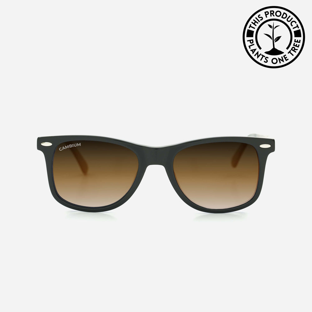 O'ahu | Classic Black | Tortoishell Frame