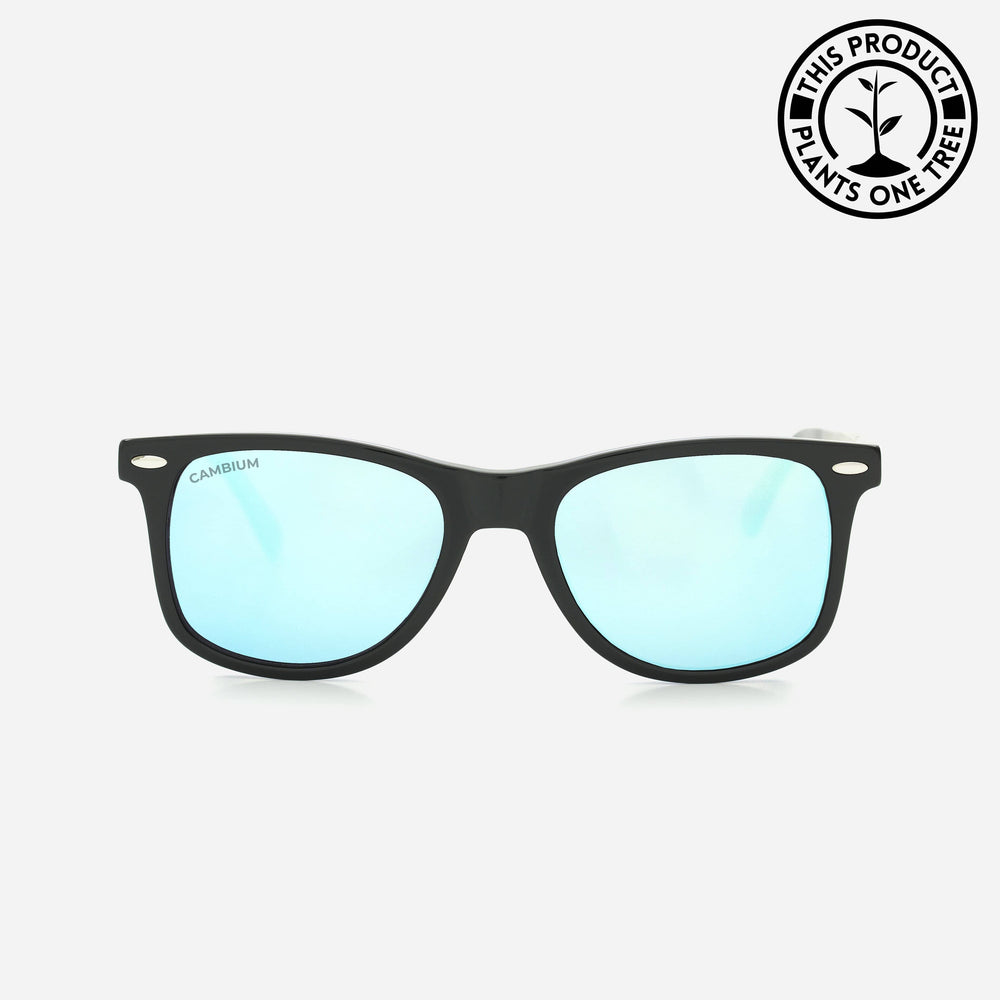 O'ahu | Classic Black | Tortoishell Frame