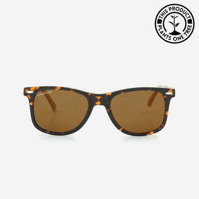 O'ahu | Classic Black | Tortoishell Frame