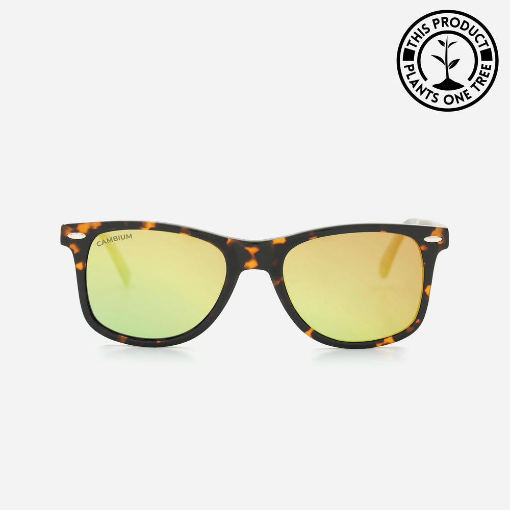 O'ahu | Classic Black | Tortoishell Frame