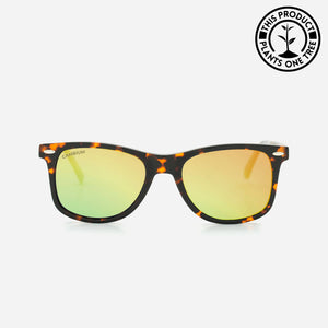 O'ahu | Gold Chrome | Tortoishell Frame