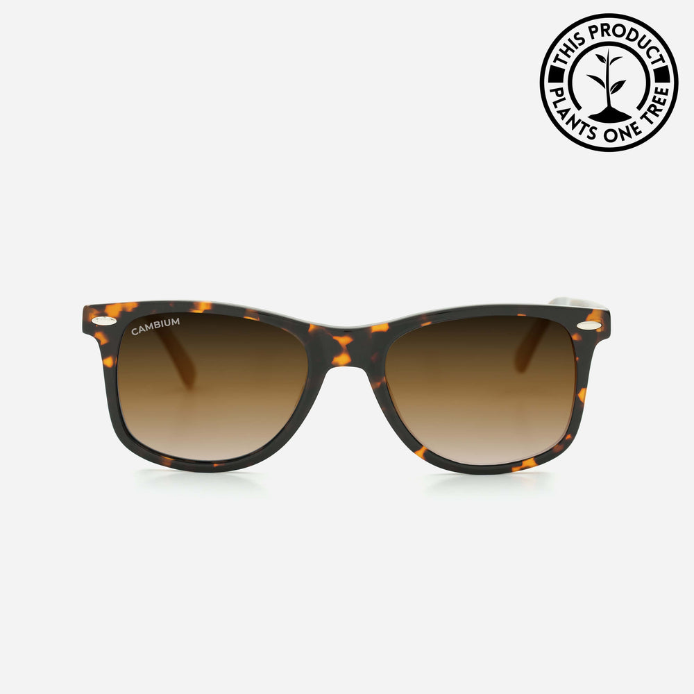 O'ahu | Classic Black | Tortoishell Frame