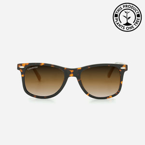 O'ahu | Classic Black | Tortoishell Frame