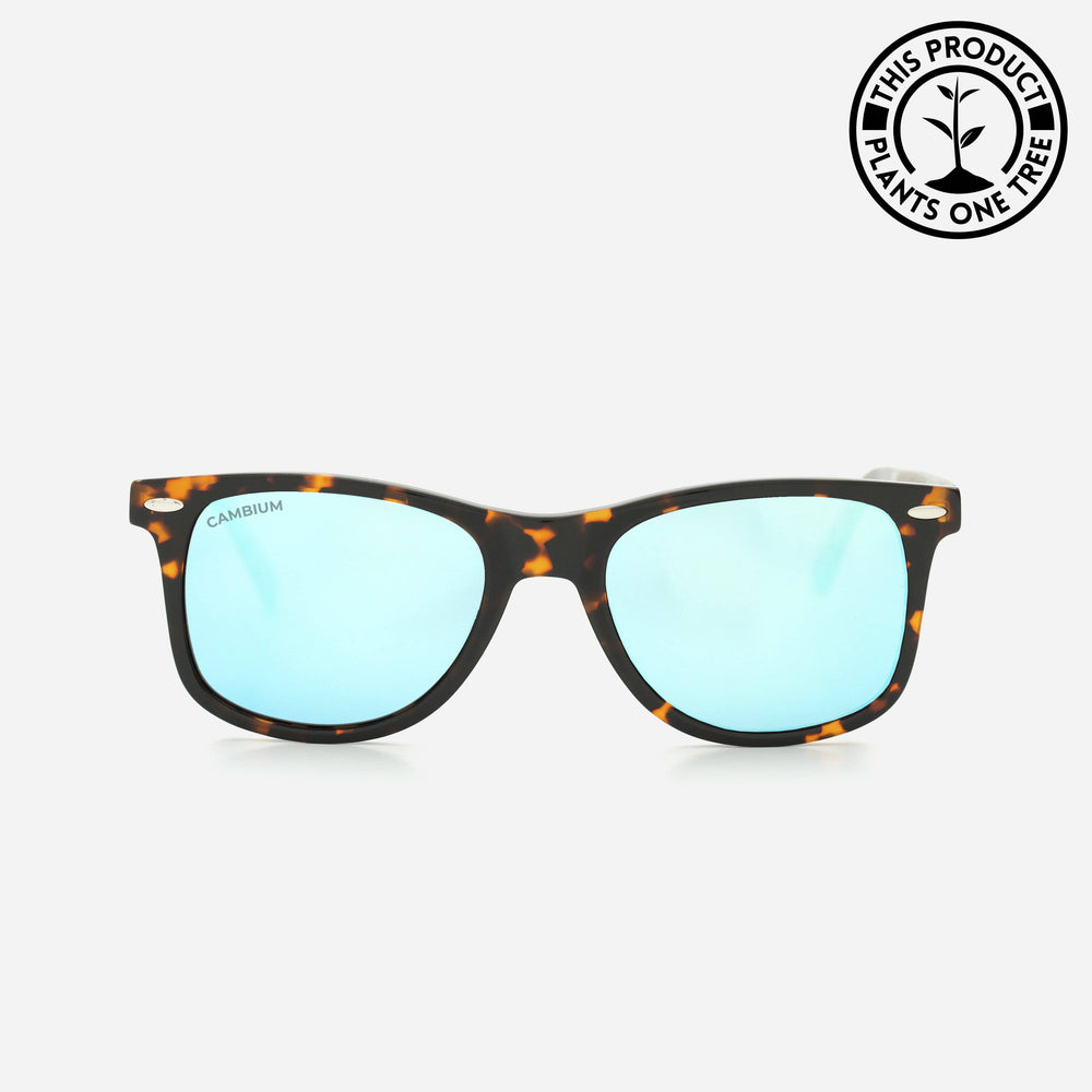 O'ahu | Classic Black | Tortoishell Frame