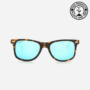 O'ahu | Ice Blue | Tortoishell Frame