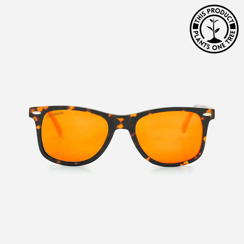O'ahu | Sunset Red | Tortoishell Frame
